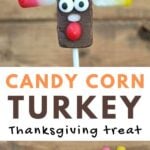 candy corn turkey on a stick for Thanksgiving