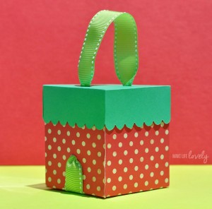 DIY Strawberry Gift Box
