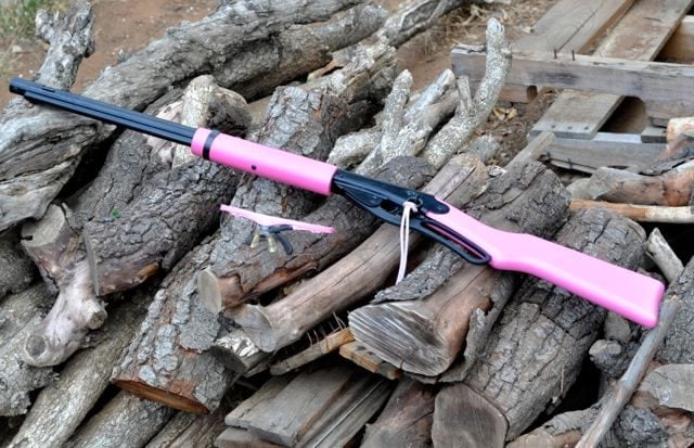 Free Printable BB Gun Targets