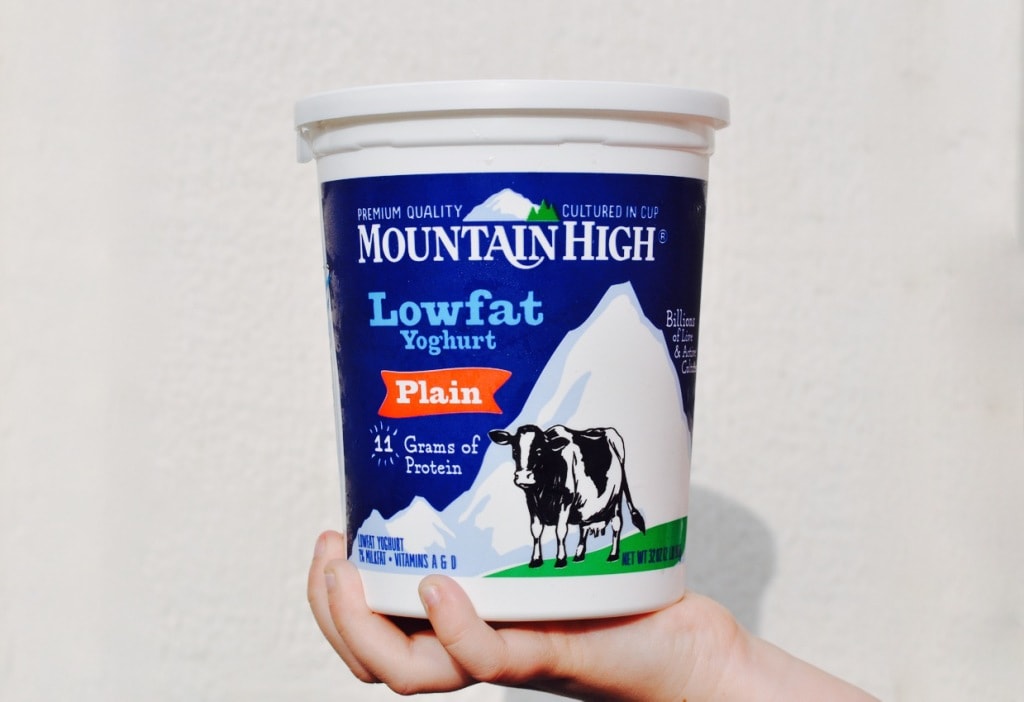 Mountain High Yoghurt Craft