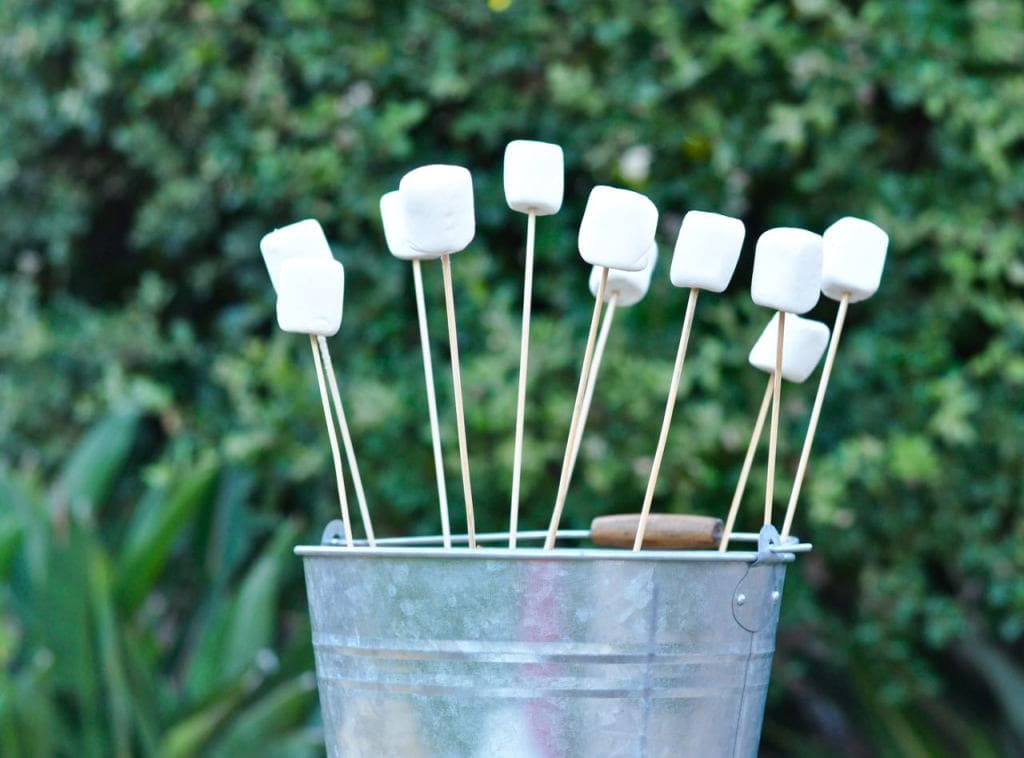 S'mores Bar