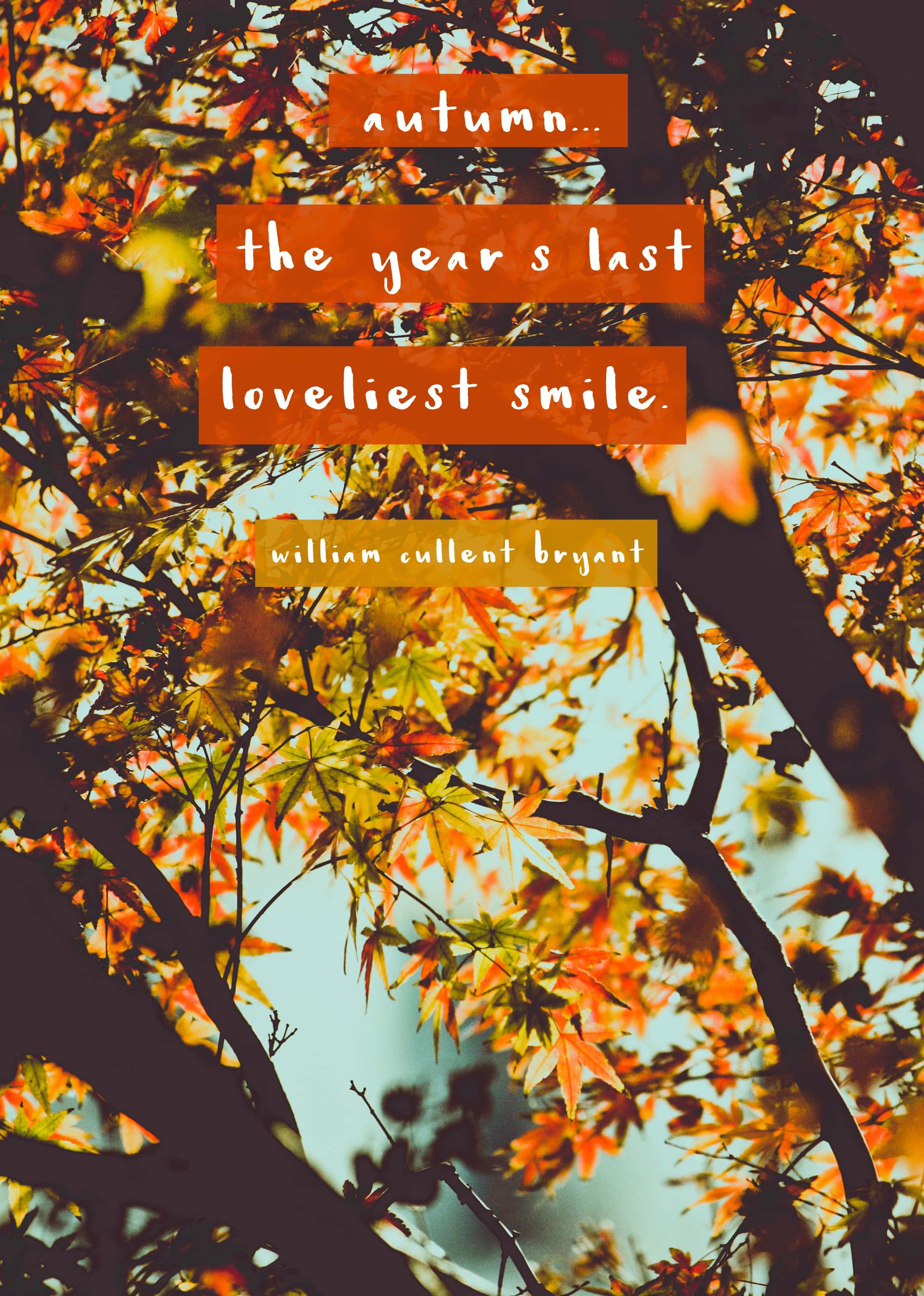 Favorite Fall Quotes Make Life Lovely