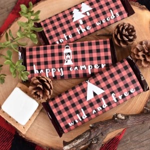 Backyard camping party ideas