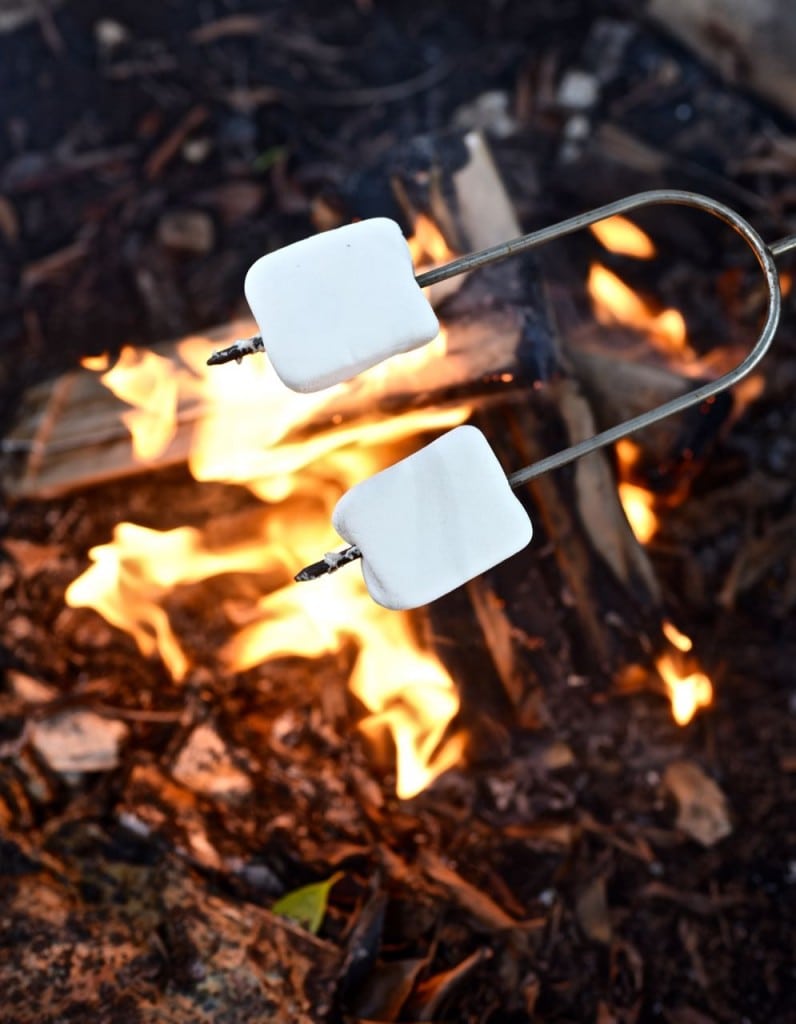 S'mores with Duraflame Campfire Roasting Logs