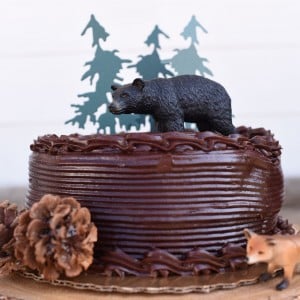 Camping cake for a backyard camping party (using a store-bought cake!)