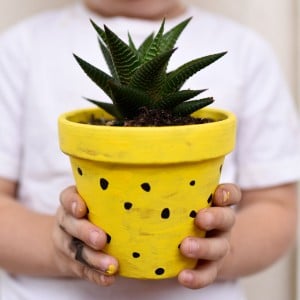 DIY Pineapple Planters