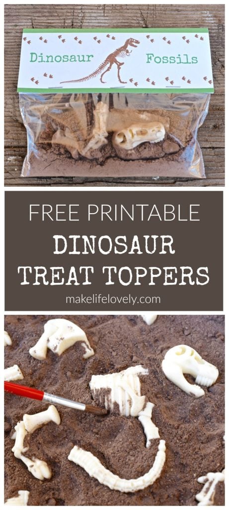 FREE Dinosaur Printable Treat Toppers by Make Life Lovely