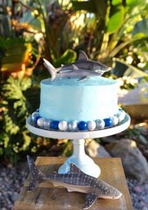 Shark birthday party cake from a store-bought cake. Buy a cake and decorate it yourself for MUCH less!