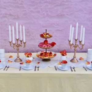 Beauty and the Beast party