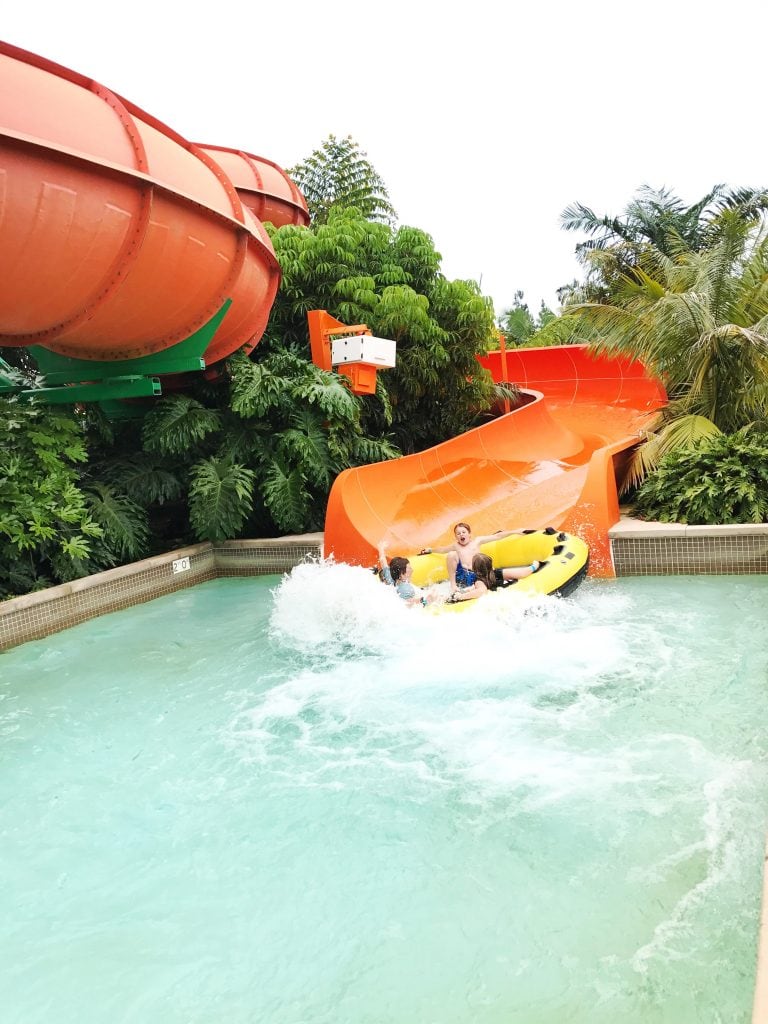Water slide at LEGOLAND Water Park in California