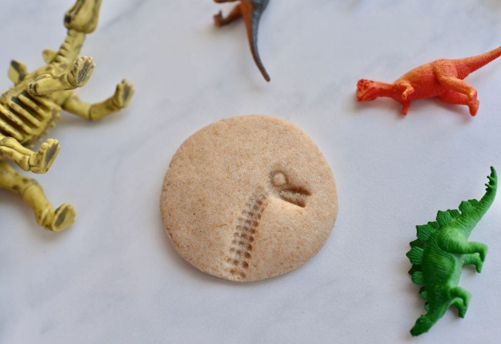 DIY dinosaur fossils tutorial for dinosaur dig party