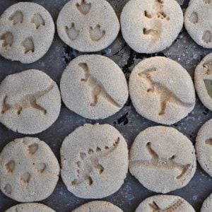 How to make DIY dinosaur fossils for kids dino dig party