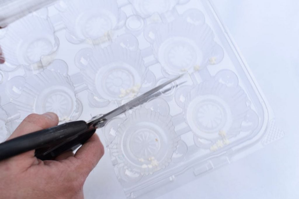 Cut the cucpake plastic packaging to create party favor boxes