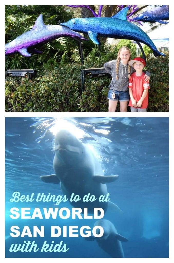 Best things to do at SeaWorld San Diego with kids. SeaWorld San Diego is a very kid-friendly place! Here's our list of the best things to do with your children there!