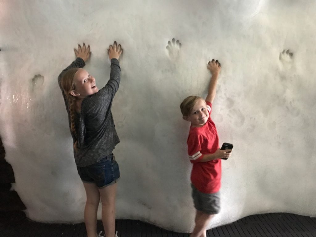 SeaWorld San Diego with kids Wild Arctic ice wall