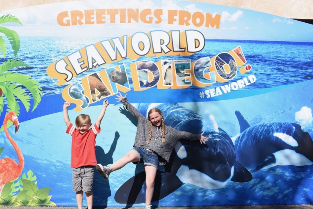 Things to do at SeaWorld San Diego with kids