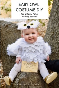 Make a baby owl costume or Harry Potter Hedwig costume with this simple tutorial! This darling baby Halloween costume is no sew and can be made with or without a Cricut machine.