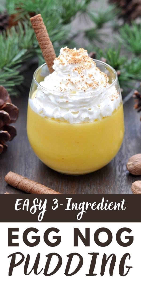 EASY 3Ingredient Egg Nog Pudding Recipe Make Life Lovely