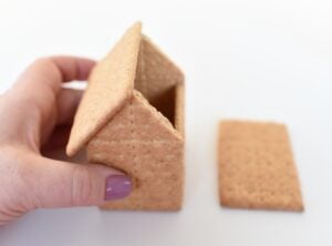hand with a graham cracker house