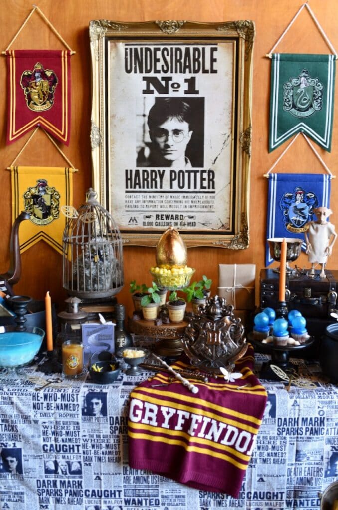 Harry Potter party decorations