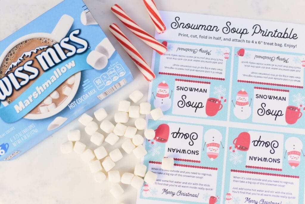 hot cocoa and marshmallow and candy cane sticks