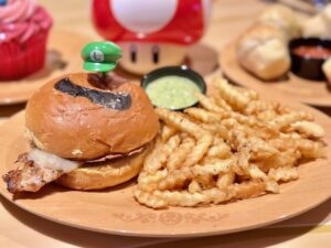 chicken burger with French fries on plate