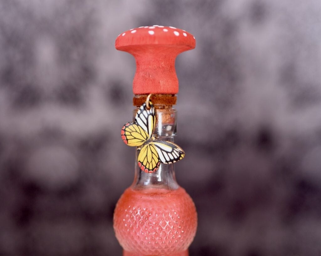 Butterfly charm on glass potion bottle with mushroom lid and red liquid inside