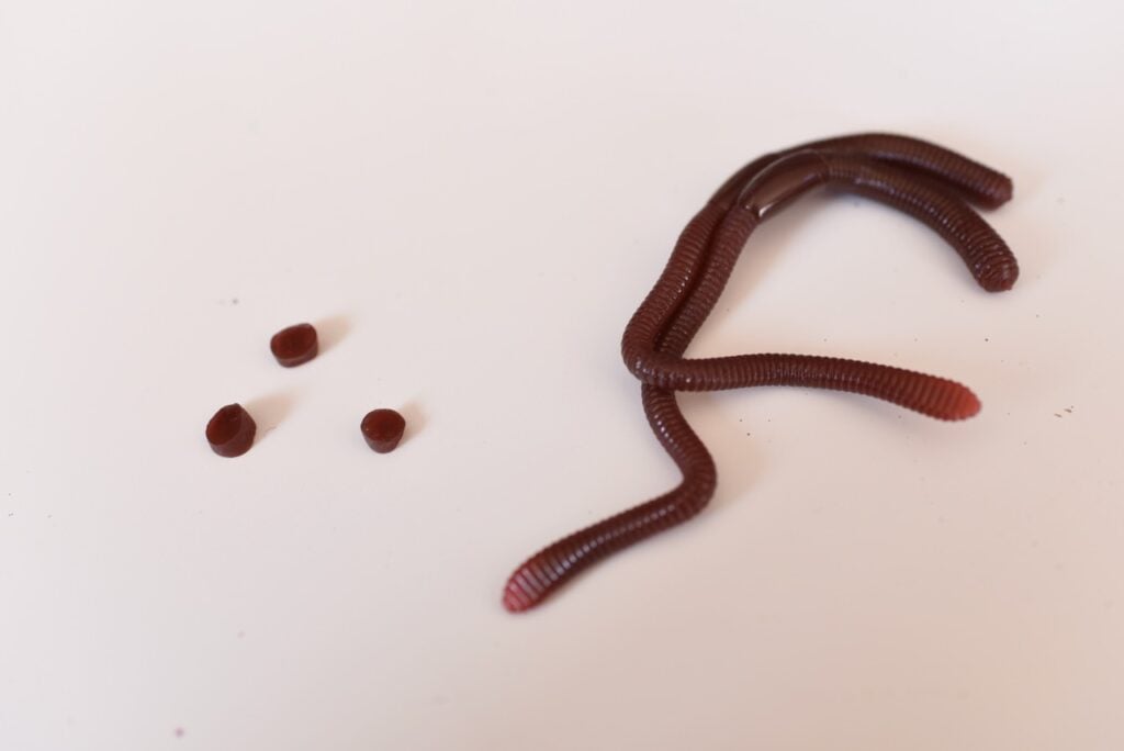 fake brown worms with small pieces cut off